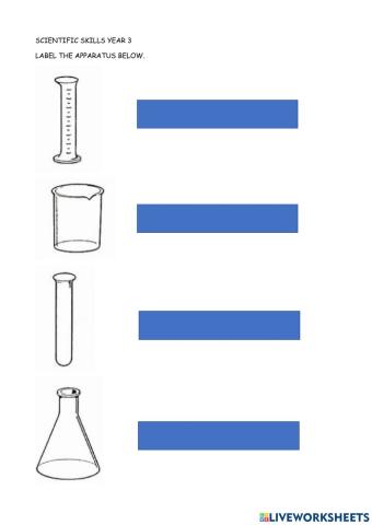 Science Year 3