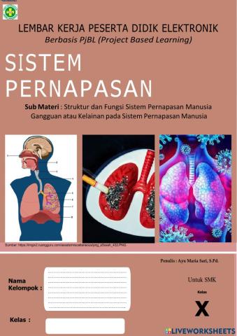 Sistem Pernapasan