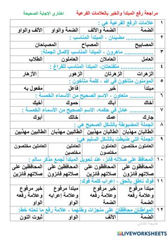 علامات الرفع الفرعية