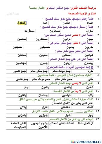 مراجعة الصنف اللغوي