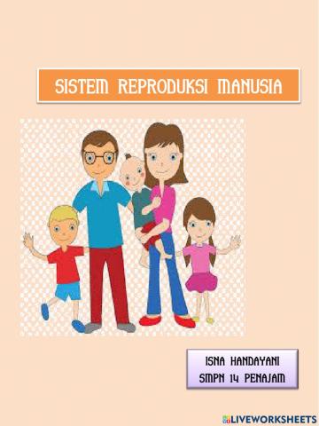 Sistem Reproduksi Manusia