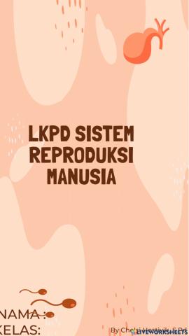 Lkpd sistem reproduksi manusia