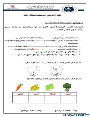 نشاط علاجي في درس عمليات الحياة في النباتات