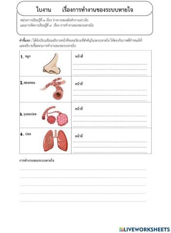 ให้นักเรียนเขียนคำตอบให้ถูกต้อง