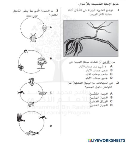 تدريبات