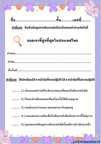 การใช้งานอินเทอร์เน็ต