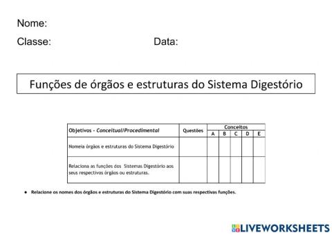 Funções - Sistema Digestório