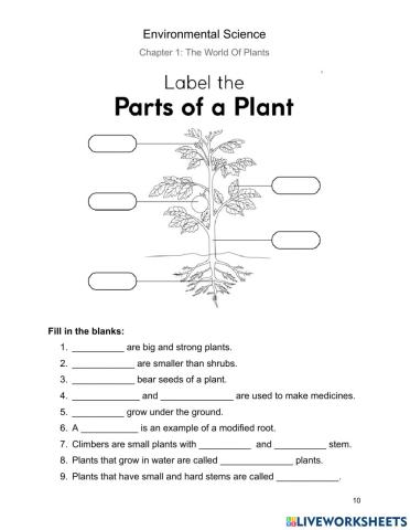 The World of Plants