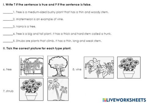 Q2-W6-Science-Post-Synchronous