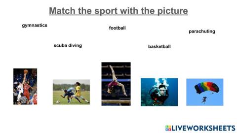 Sports