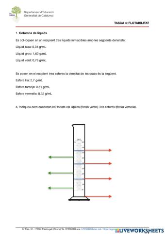 Flotabilitat-t4