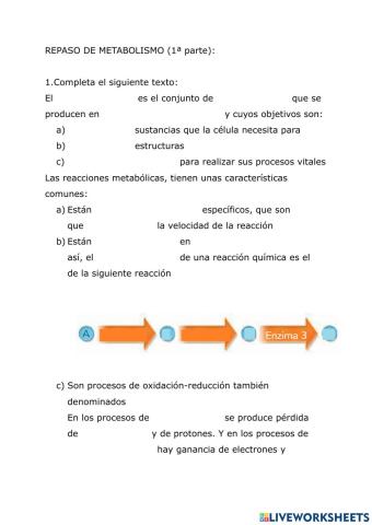 Repaso metabolismo (1ª parte)