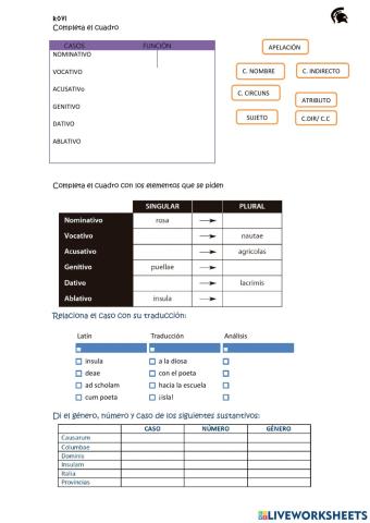 Repaso 1ª declinación latina