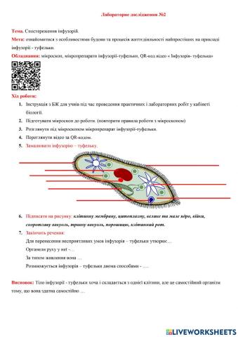 Спостереження інфузорій