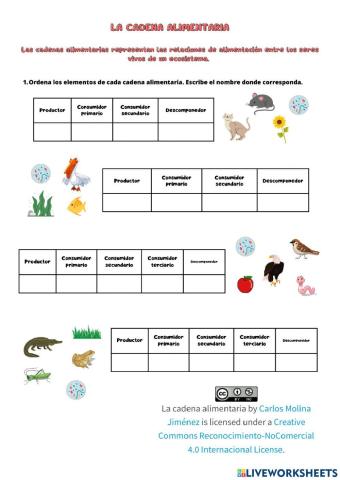 La cadena alimentaria