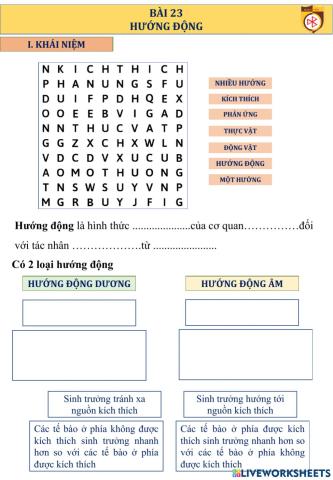 Hướng động