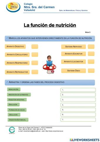 La Nutrición