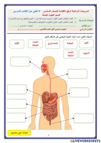 تدريبات اثرائية 8- علوم السادس