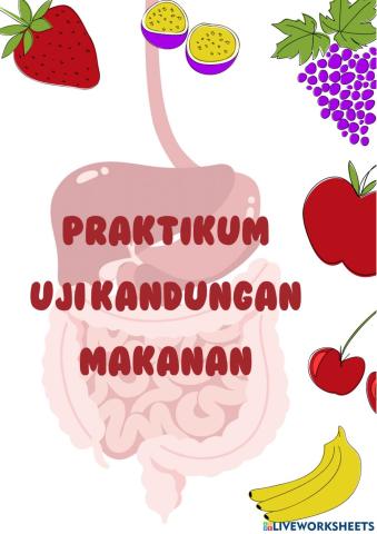 Praktikum Uji Makanan