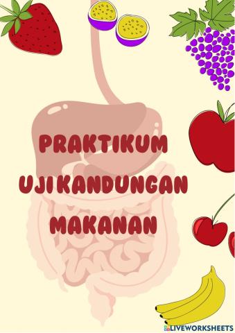 Praktikum Uji Kandungan Makanan