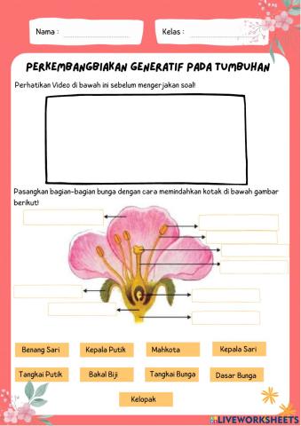 Perkembangbiakan generatif tumbuhan