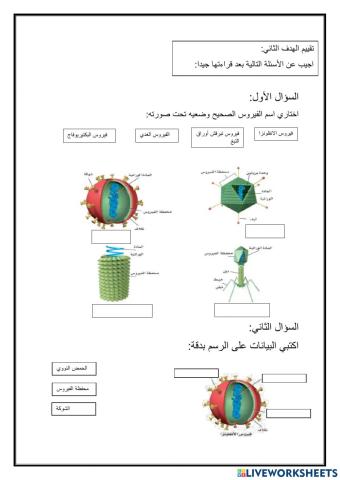 درس الفيروسات1