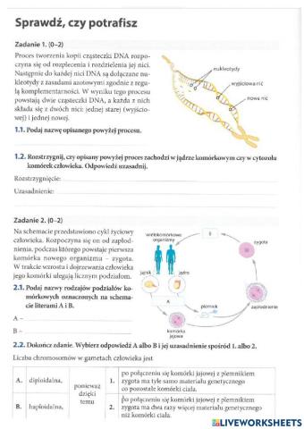 GENETYKA - sprawdź czy potrafisz