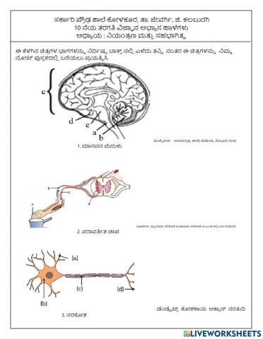 Control and Coordination