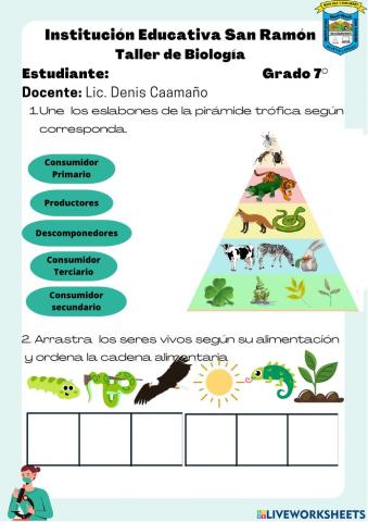 Circulación de la Energía en los Ecosistemas