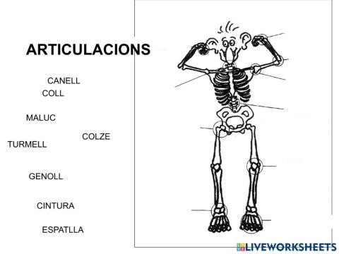 Articulacions