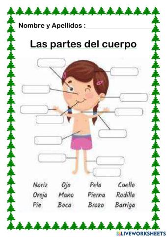 Las partes del cuerpo