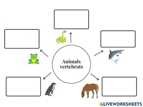 Animals vertebrats