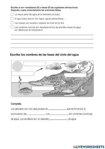 Repaso final T3 soci 4º