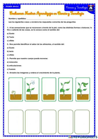 Evaluación de Salida de Ciencia y Tecnología