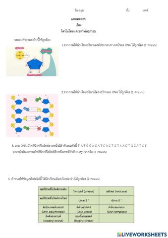 โครโมโซมและสารพันธุกรรม