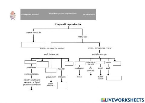 esquema aparell reproductor