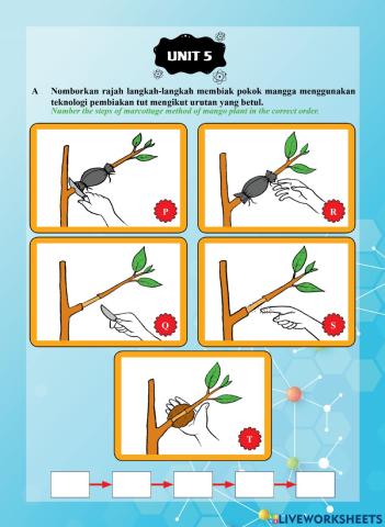 Tutor Sukses 2023 - 24 Sains Tahun 3-Unit 5