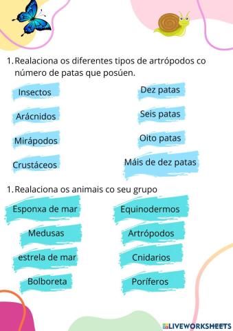 Os animais invertebrados