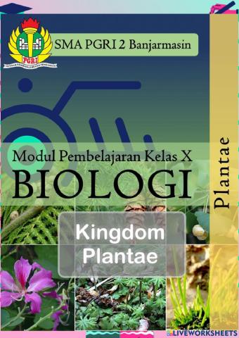 Kelas 10 plantae