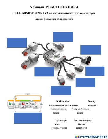 5 сынып  РОБОТОТЕХНИКА