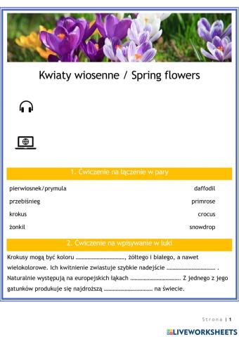 Kwiaty wiosenne 1