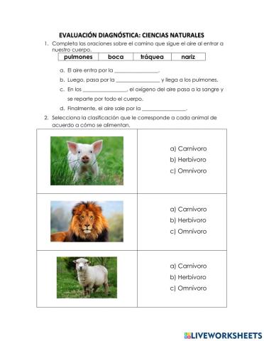 Evaluación Diagnóstica: Ciencias Naturales