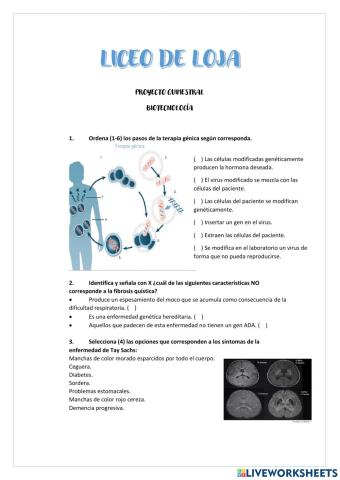 Proyecto Quimestral