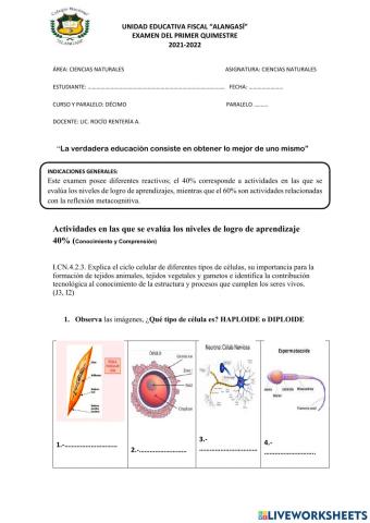 Ciencias naturales