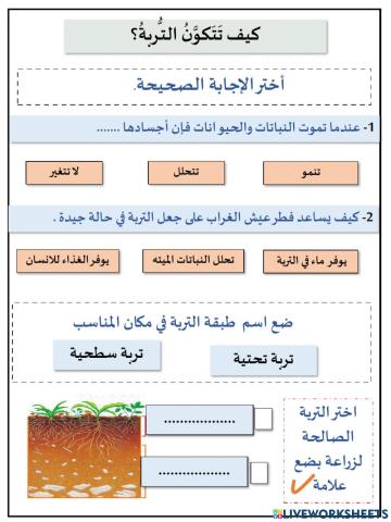 كيف تتكون التربة