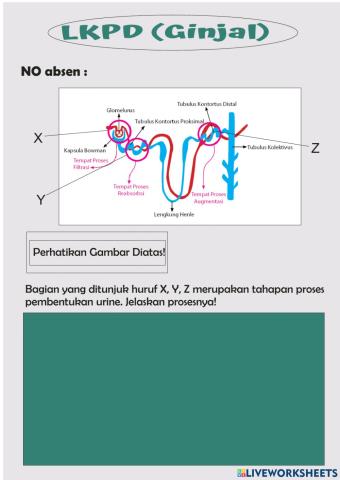 LKPD Ginjal lembar 2