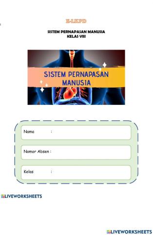 Sistem Pernapasan kls 8