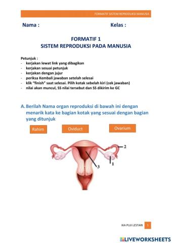 Formatif Sistem Reproduksi 9C&9D