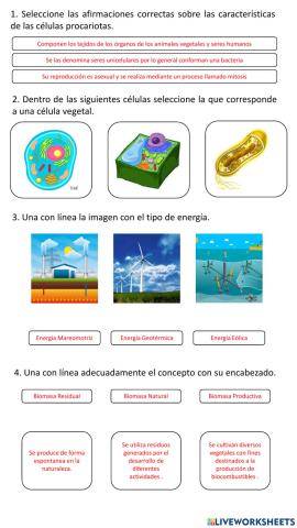 Evaluación Sumativa (Célula, Energía Renovable y No Renovable)