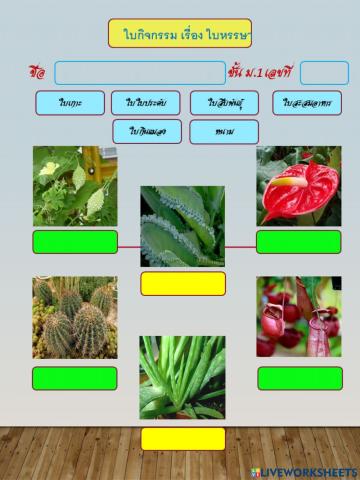 ใบกิจกรรม เรื่อง ใบหรรษา